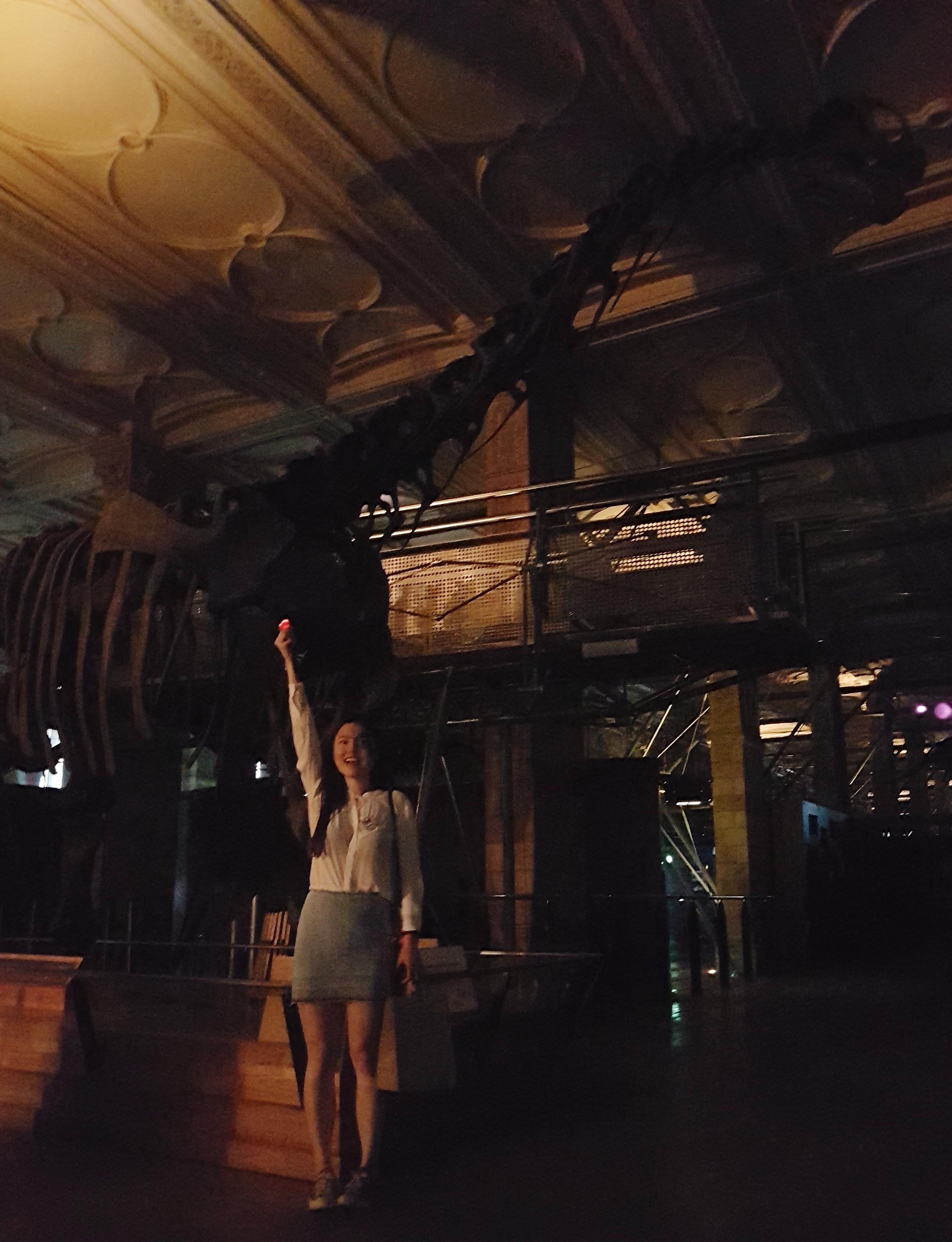 Exploring the Dinosaur Gallery