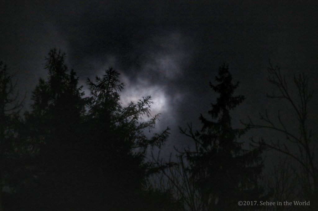 Bran Castle, Romania, Halloween night, Dracula Castle, Halloween in Transylvania, Halloween night, Sehee in the World