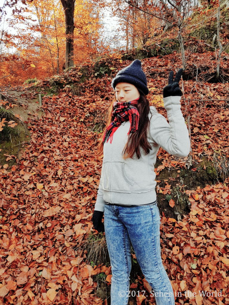 autumn in transylvania, romania, Sehee in the World