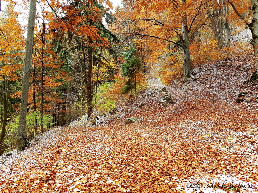 autumn, autumn leaves, first snow, Piatra Craiului National Park, Halloween trip, Romania, Transylvania, Sehee in the World