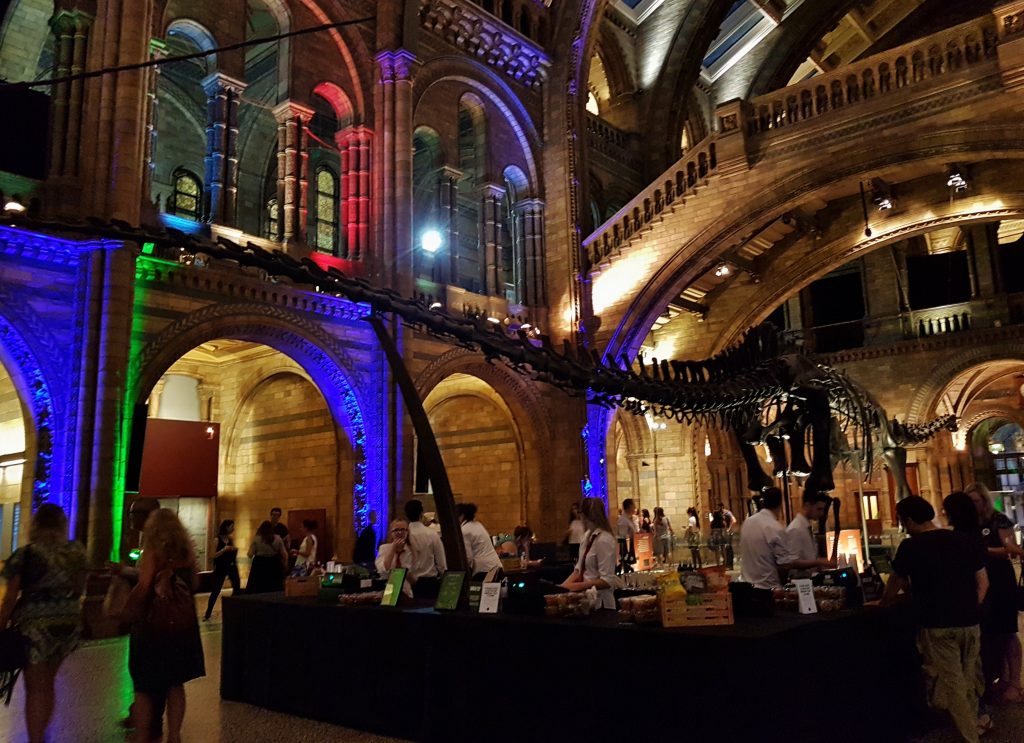 Natural History Museum Silent Disco - Sehee in the World
