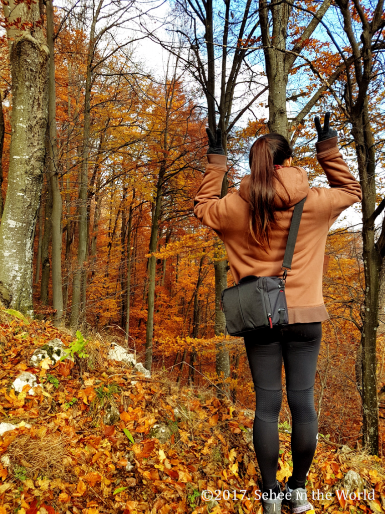 autumn, autumn leaves, Piatra Craiului National Park, Halloween trip, Romania, Transylvania, trekking, Sehee in the World