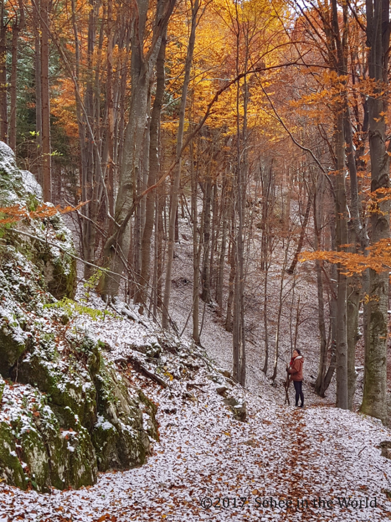 autumn, autumn leaves, Piatra Craiului National Park, Halloween trip, Romania, Transylvania, trekking, Sehee in the World