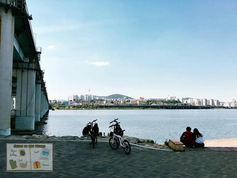 Cycling at Seoul Han River Park - Sehee in the World