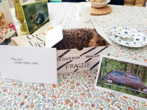 Birthday Card & Gift to Visiting Cambridge Shepreth Hedgehog Hospital - Sehee in the World