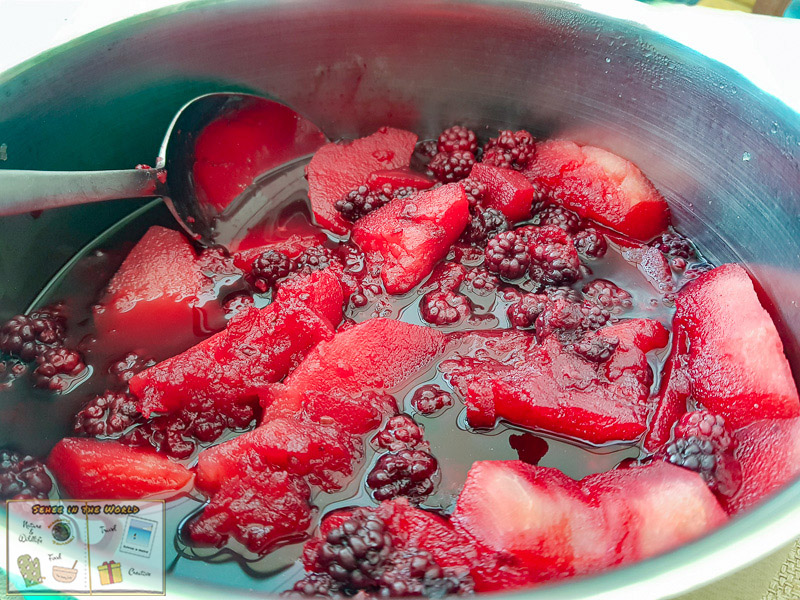Homebaked blackberry and apple compote using wild blackberries we picked - photo taken by me, Sehee in the World