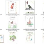 collection of my 2020 bullet journal monthly cover designs - wildlife theme