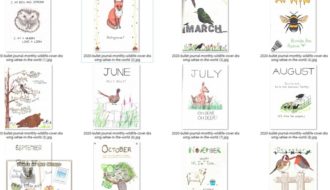 collection of my 2020 bullet journal monthly cover designs - wildlife theme