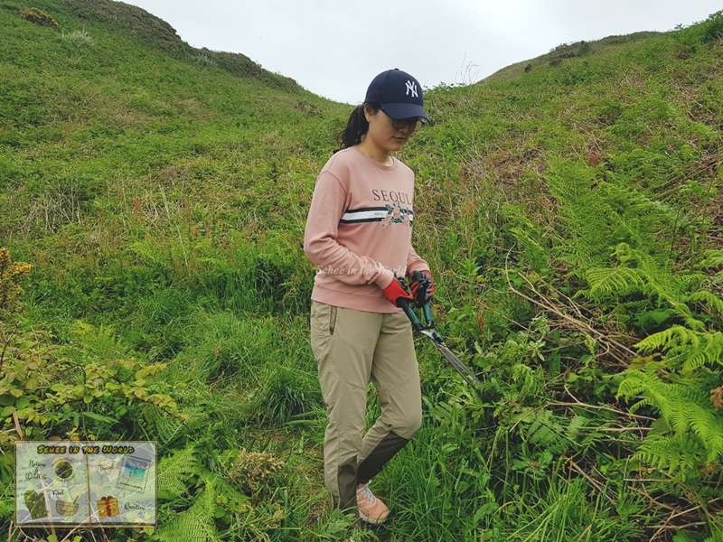 Myself while volunteering with the Alderney Wildlife Trust at the Zig Zag (Alderney Trip) - Sehee in the World