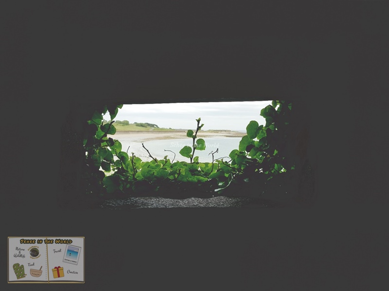 A beach view from one of the window holes at the Roman Fort (Alderney Trip) - Sehee in the World