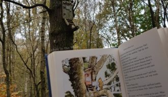 Poohsticks Bridge walk and Owl's House with the book illustration - Hartfield, Ashdown Forest (Sehee in the World)