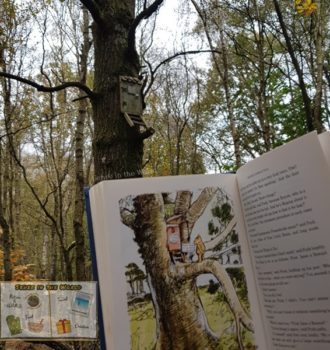 Poohsticks Bridge walk and Owl's House with the book illustration - Hartfield, Ashdown Forest (Sehee in the World)