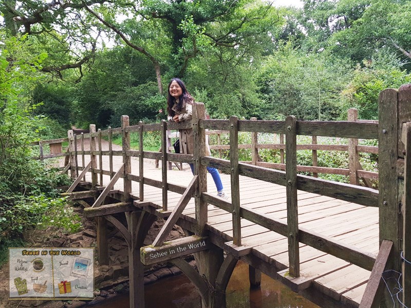 Me at Poohsticks Bridge - Hartfield, Ashdown Forest (Sehee in the World)
