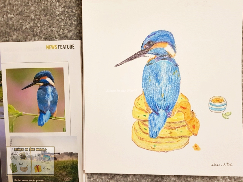Creative DIY gift ideas - hand-drawn birthday card: a kingfisher with a birthday fish cake-Sehee in the World