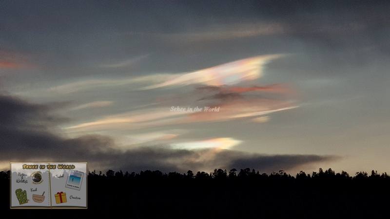 Pearl clouds (Nacreous clouds) in Alta, Norway - Sehee in the World